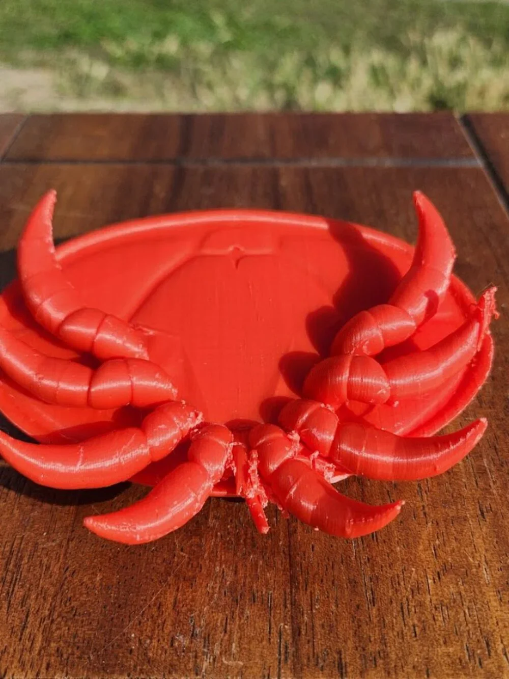 Varroa Mite Varoa Destructor Bug Insect Model Beekeeping Honeybees Bee Save the